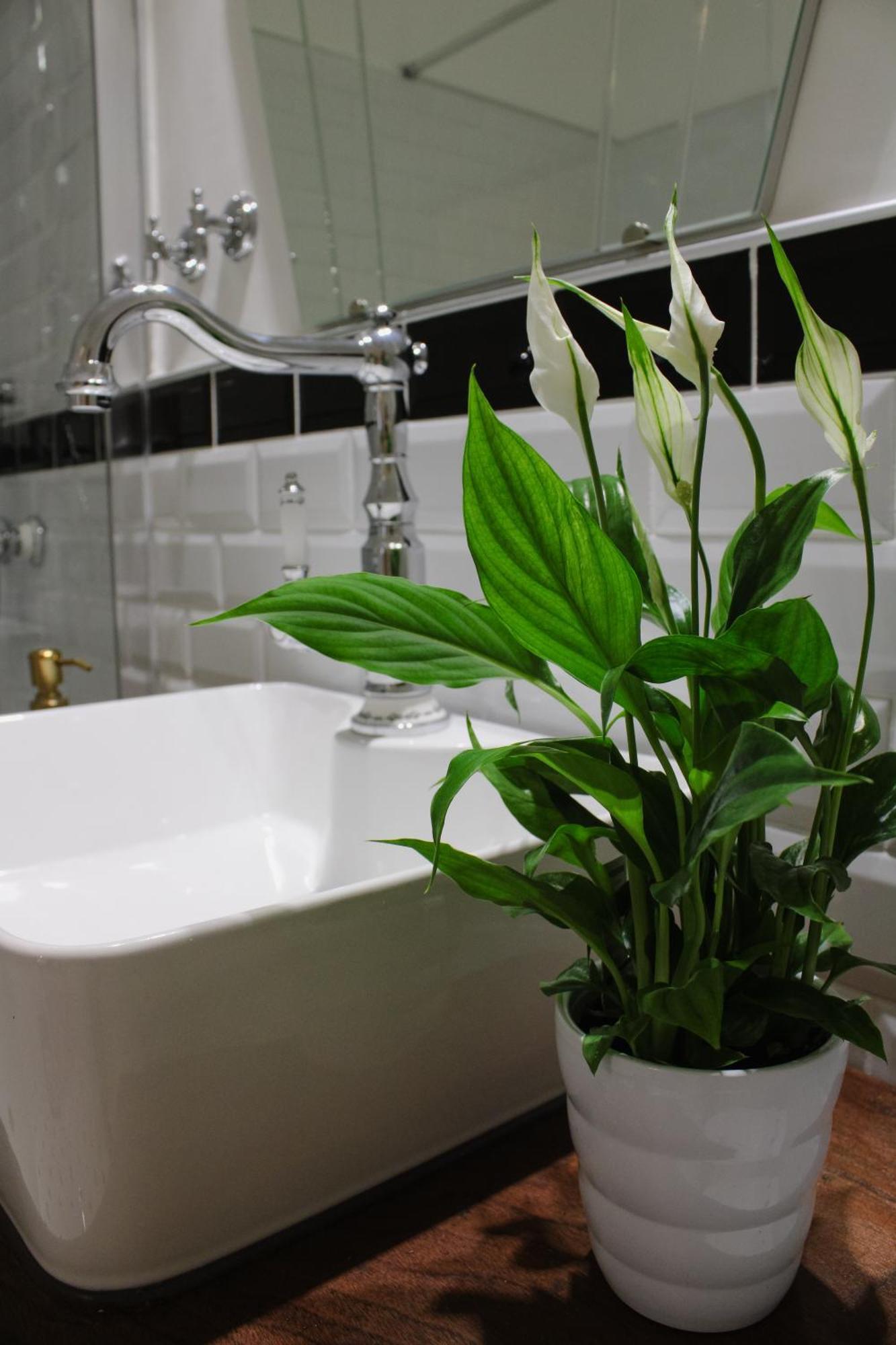 Madea Apartman Zagreb Ngoại thất bức ảnh